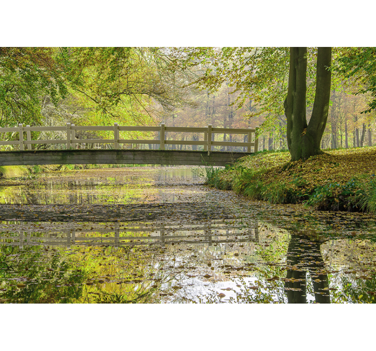 Serene River Bridge wall mural nature - TenStickers