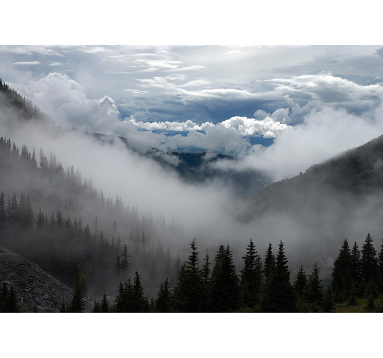 Foggy Woodland Scenery landscape wall mural - TenStickers