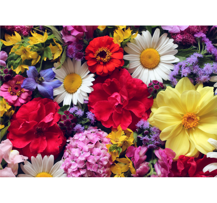 Flower wall mural vibrant bloom arrangement - TenStickers