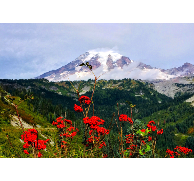 Snow-capped mountain landscape wall mural - TenStickers