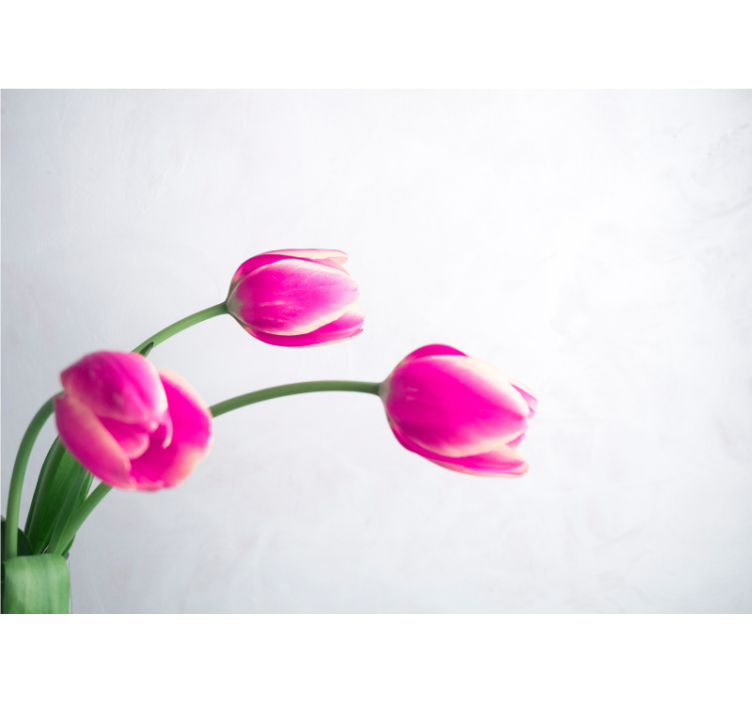 Poppy wall mural pink tulip blooms - TenStickers