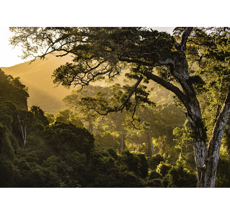 Wall mural nature verdant forest landscape - TenStickers