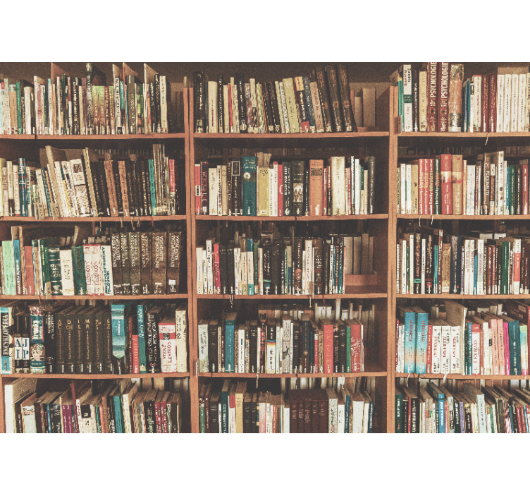 Art wall mural bookshelf with literature - TenStickers