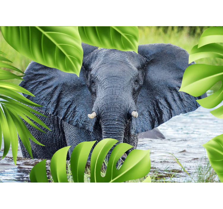 Animals wall mural regal elephant experience - TenStickers