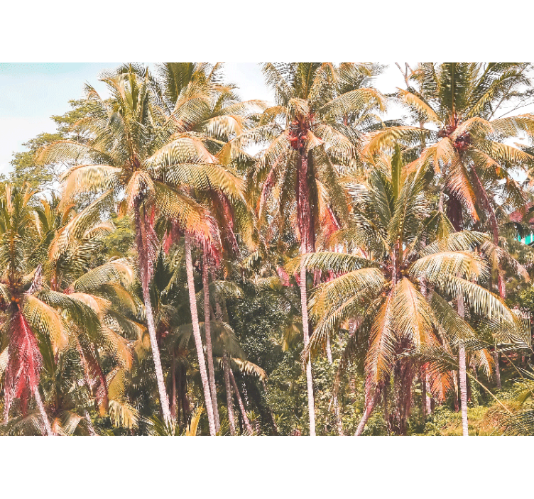 Wall mural nature lush palm forest - TenStickers