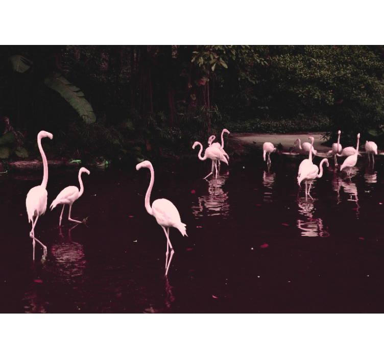 Home office wall mural elegant flamingos gathering - TenStickers