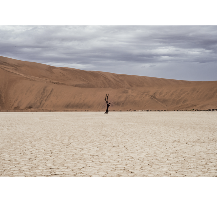 Wall mural mountain desert view landscape - TenStickers