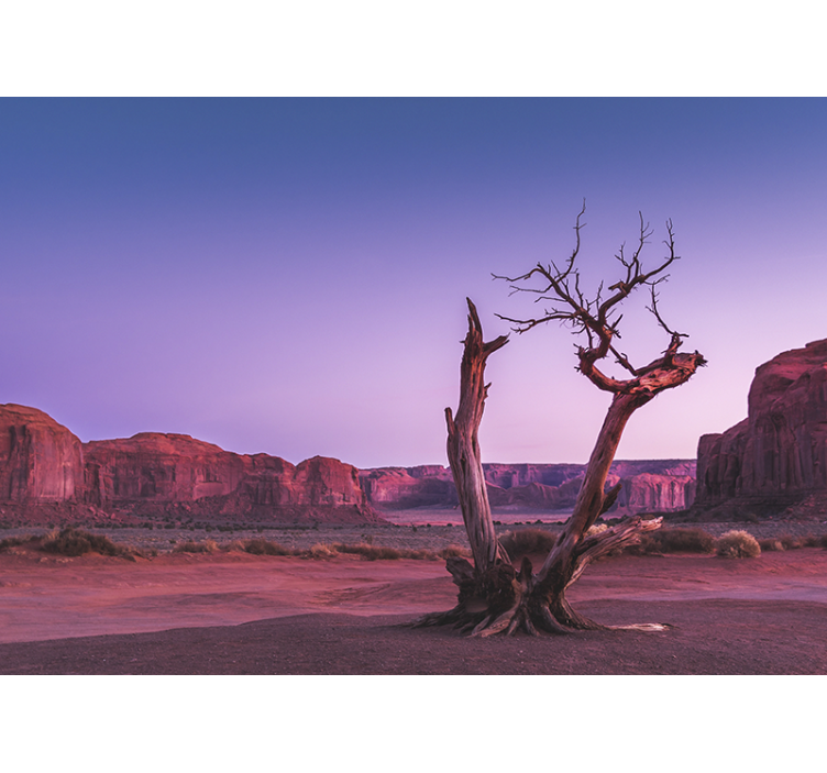 Landscape wall mural desert stone design - TenStickers