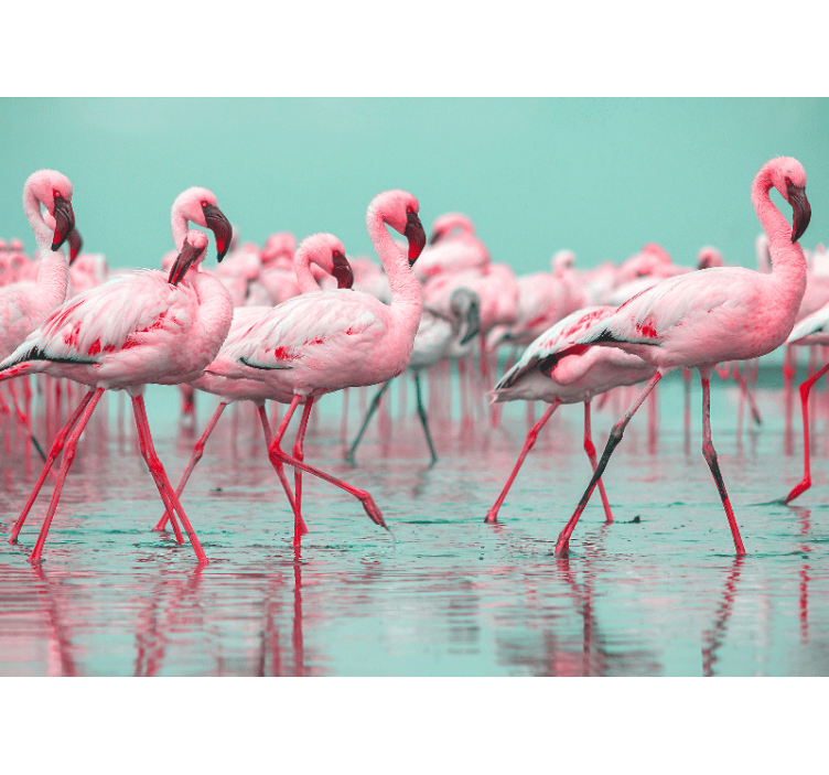 Nice Flamingos walking living room wall mural - TenStickers