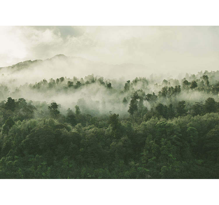 Wall mural nature hazy woodland landscape - TenStickers