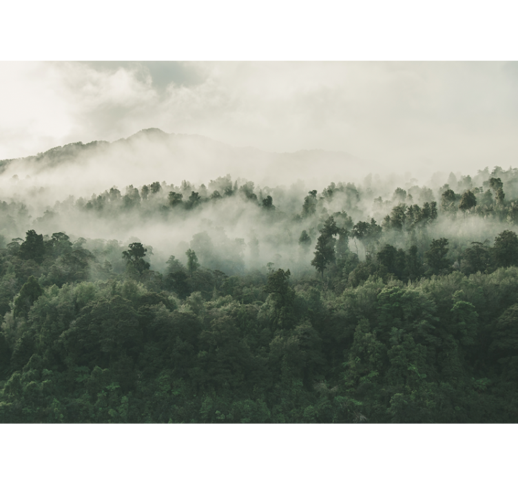 Wall mural nature misty woodland scenery - TenStickers