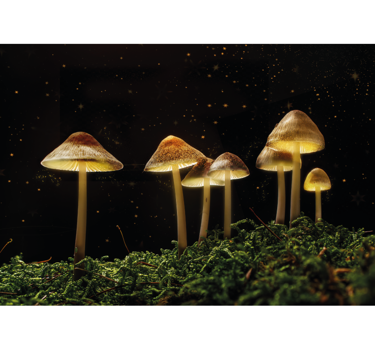 Wall mural nature glowing mushroom landscape - TenStickers