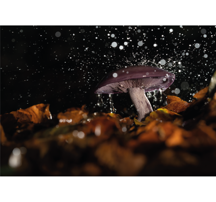 Wall mural nature mushroom water splash - TenStickers