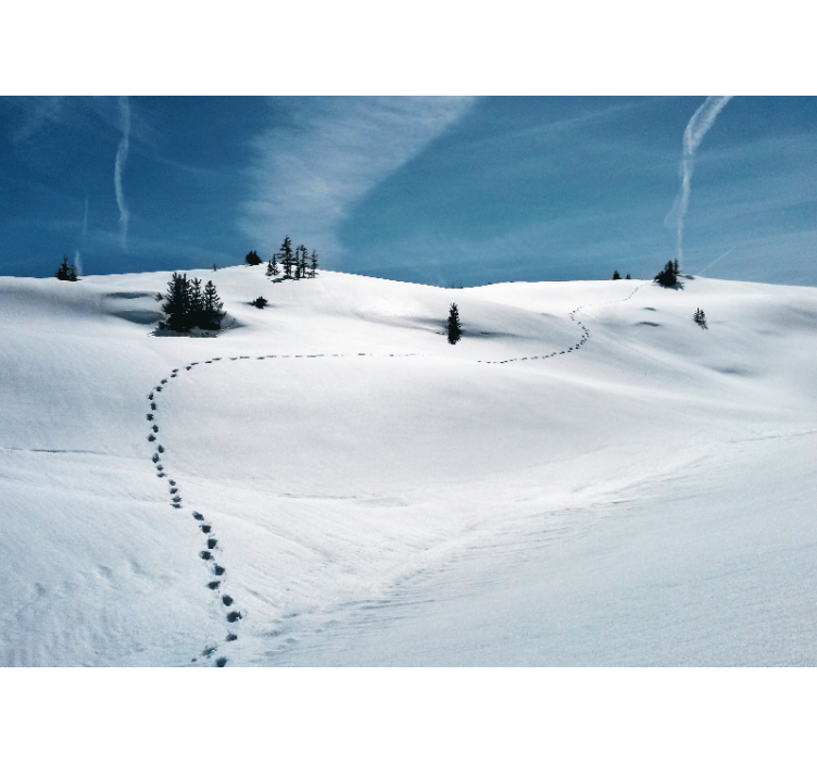 Wall mural mountain snowy mountain trail - TenStickers