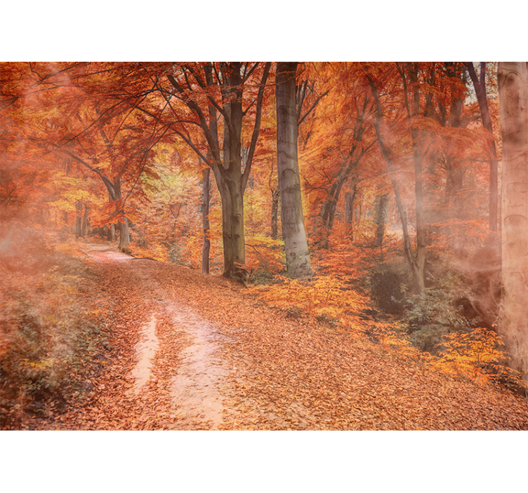 Nature wallpaper autumn trail path - TenStickers