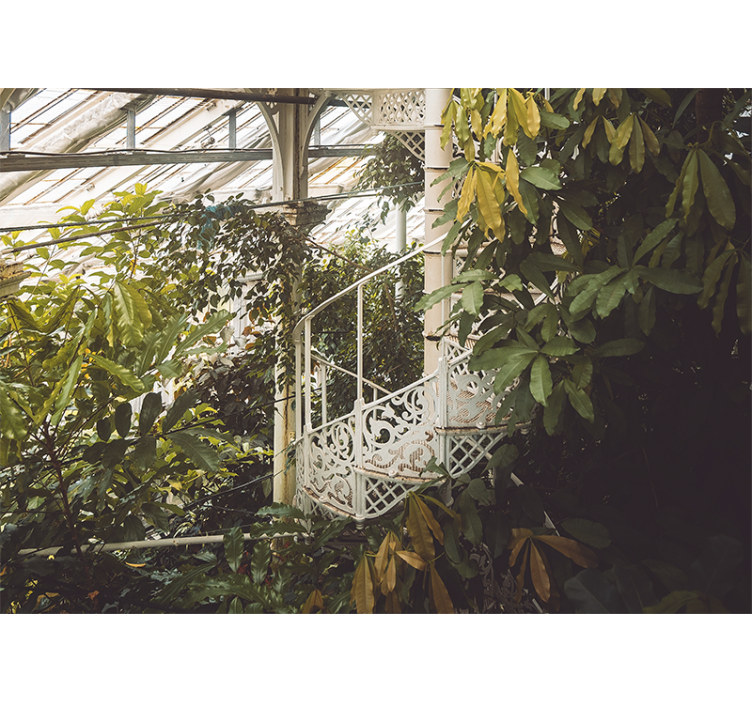 Wall mural nature lush greenery retreat - TenStickers