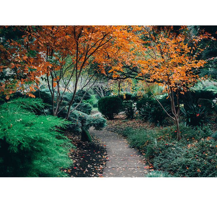 Wall mural nature pathway through trees - TenStickers