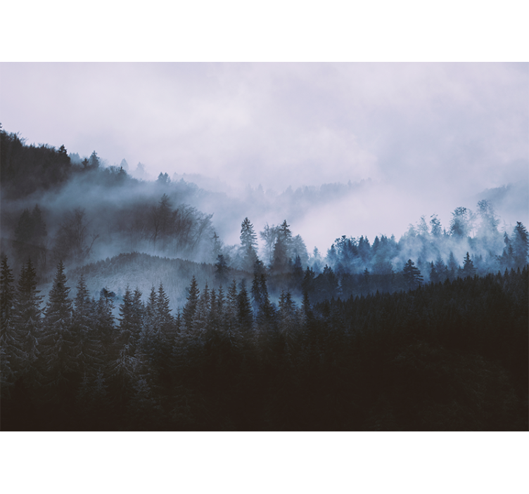 Forest wallpaper misty evergreen landscape - TenStickers