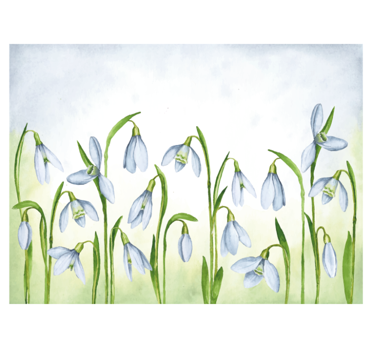 Flower wall mural snowdrop flora - TenStickers