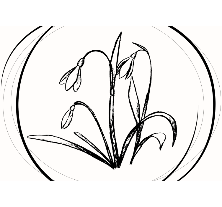 Flower wall mural snowdrop flower outline - TenStickers