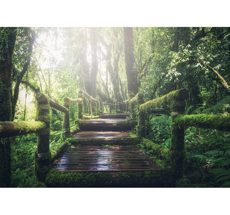Nature wallpaper lush woodland path - TenStickers