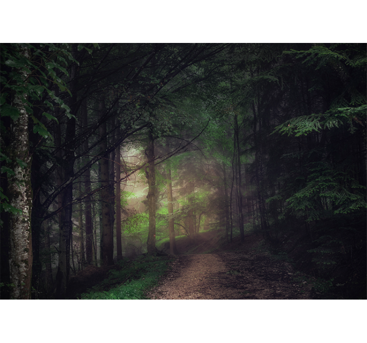 Forest wallpaper serene forest pathway - TenStickers