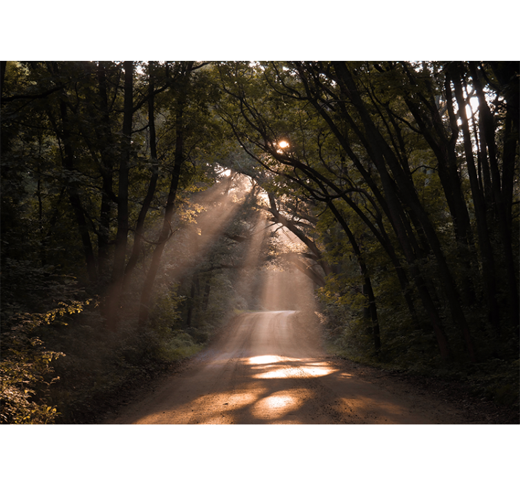 Nature wallpaper radiant woodland path - TenStickers