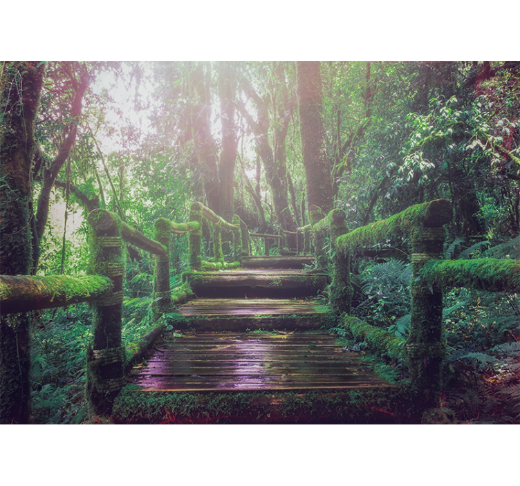 Nature wallpaper mossy forest path - TenStickers
