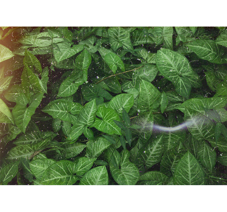 Wall mural nature lively leaf arrangement - TenStickers