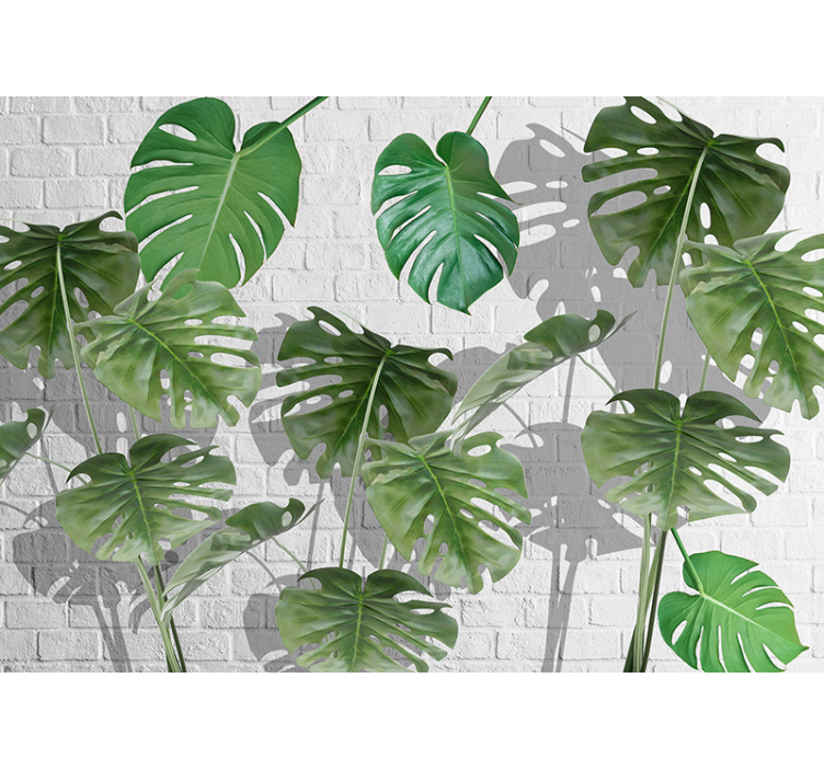 Nature wallpaper monstera leaf design - TenStickers