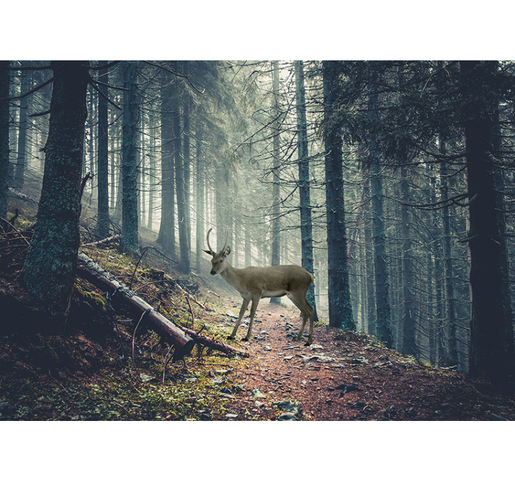 Forest wallpaper stag in woodland - TenStickers