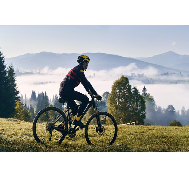 Cyclist riding bicycle in mountains mural - TenStickers