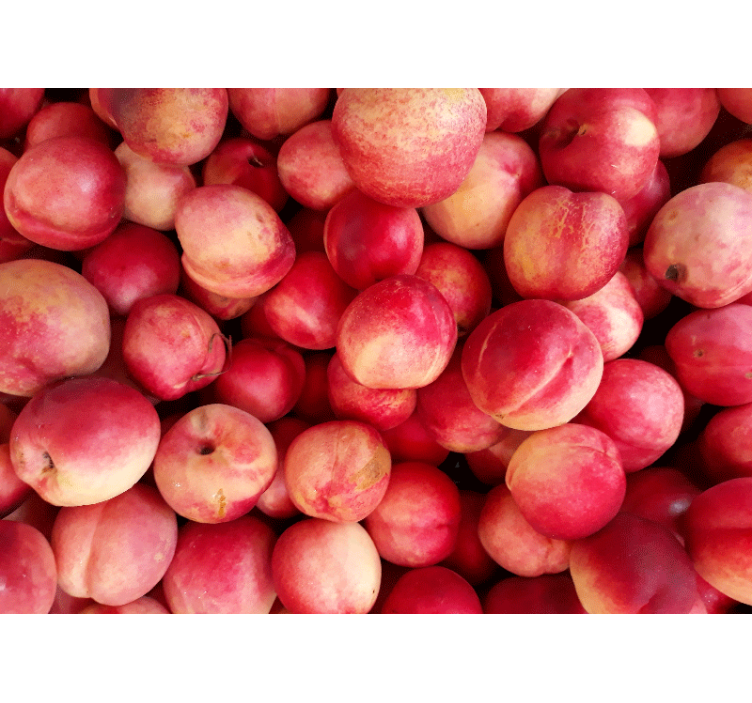 Peaches fruits wall mural - TenStickers