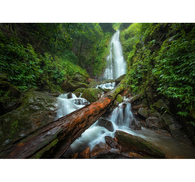 Wall mural waterfall serene waterfall cascade - TenStickers