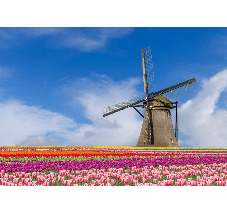Tulip Field Windmill amsterdam wall mural - TenStickers