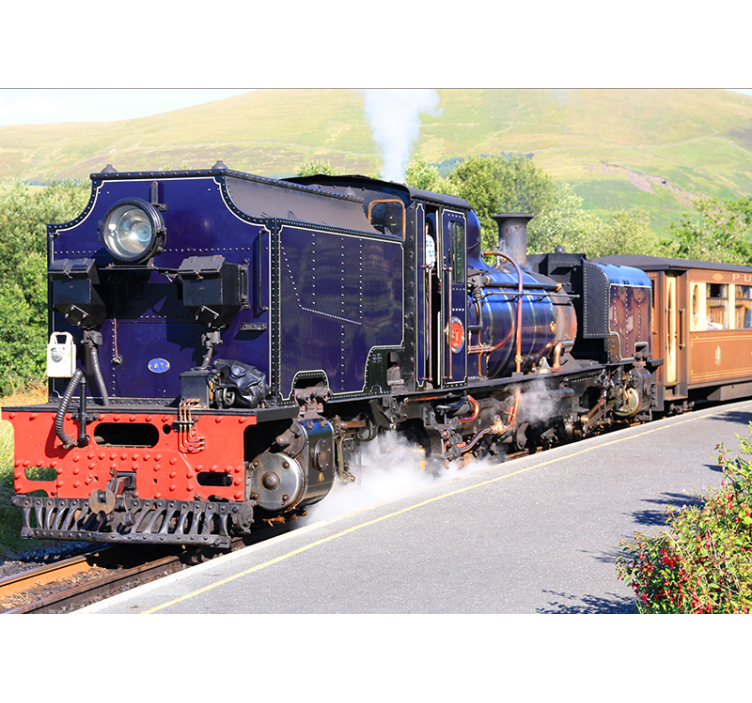 Snowdonia steam train wall mural - TenStickers