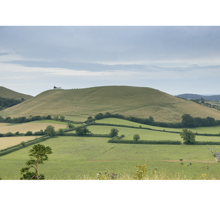 Somerset countryside wall mural - TenStickers