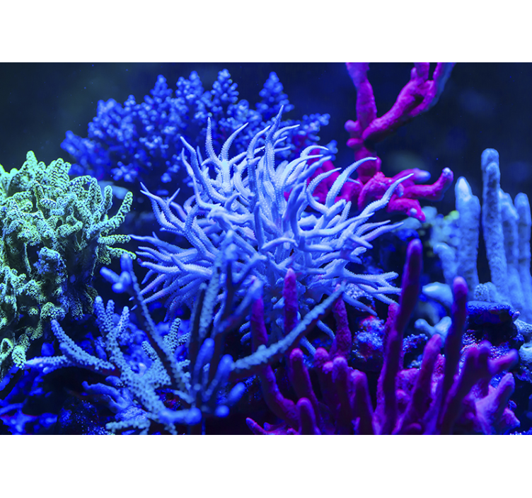 Coral Underwater Harmony under the sea wall mural - TenStickers
