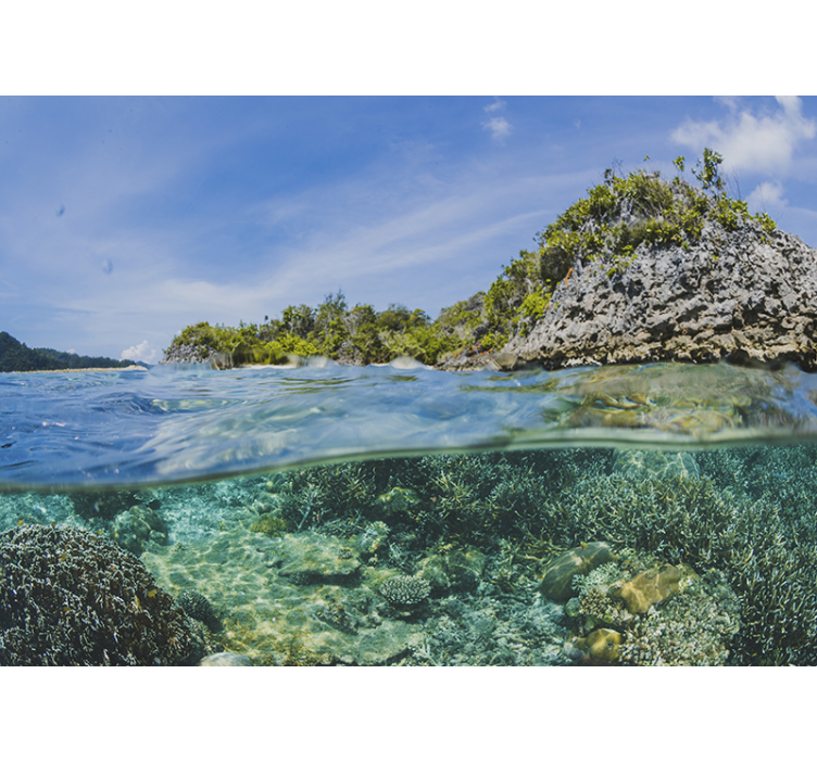 Underwater Seascape landscape wall mural - TenStickers