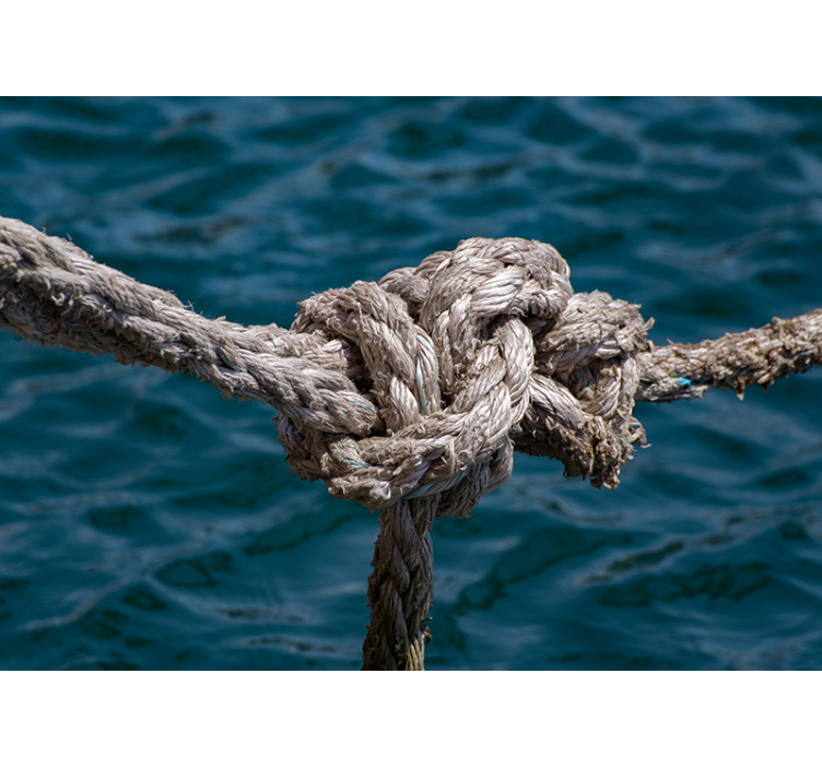 Nautical Knot Strength under the sea wall mural - TenStickers