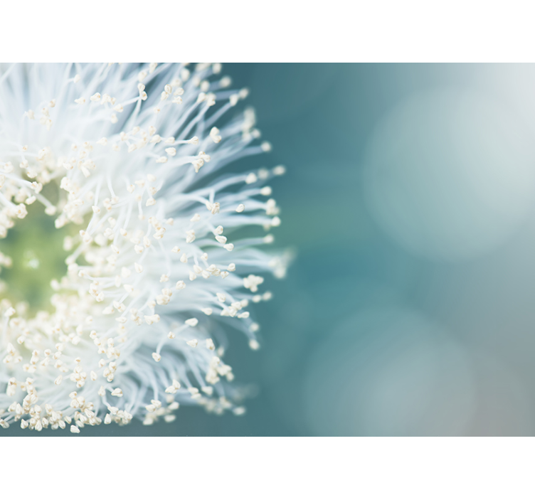 Flower wall mural dandelion seeds 3D wallpaper - TenStickers