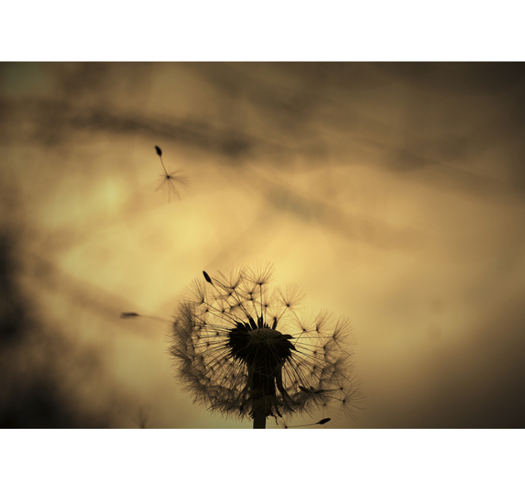 Dandelion Silhouette dandelion wall mural - TenStickers