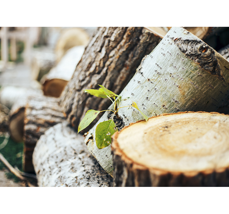 Forest wall mural wood log arrangement - TenStickers