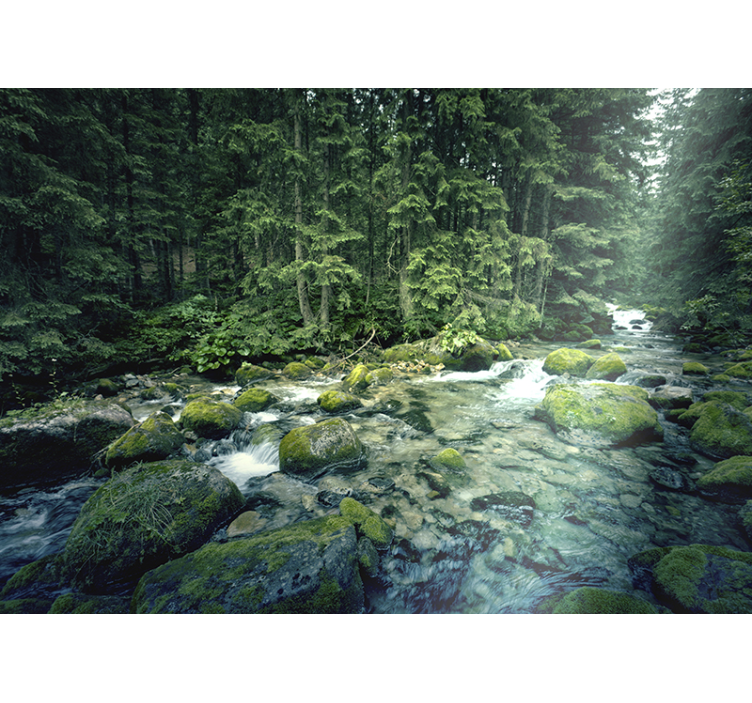 Tranquil woodland creek landscape wall mural - TenStickers