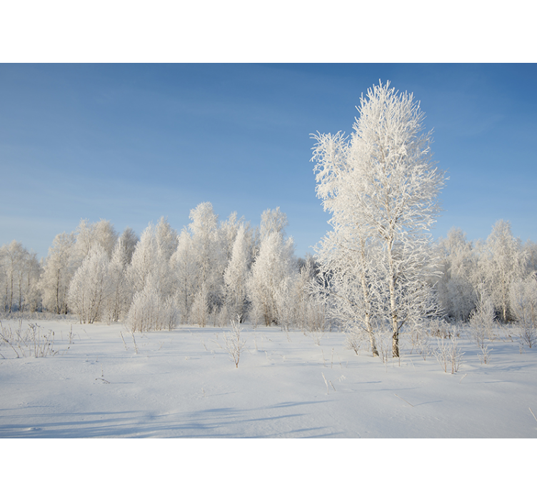 Snow-covered trees landscape wall mural - TenStickers
