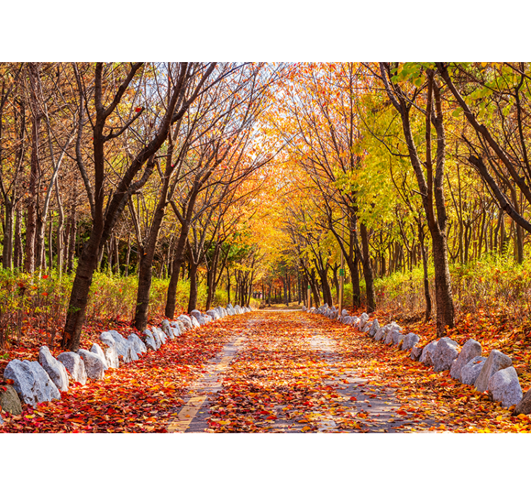 Wall mural nature autumn pathway of leaves - TenStickers