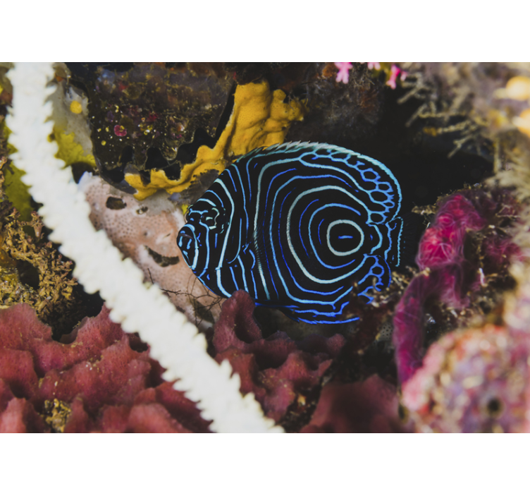 Animals wall mural blue fish patterns - TenStickers