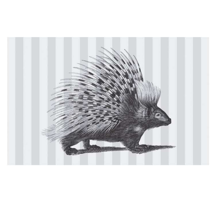 Animals wall mural porcupine spikes design - TenStickers
