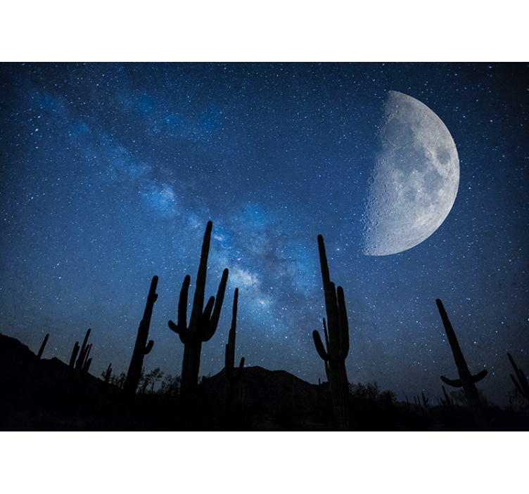 Cactus Night Sky landscape wall mural - TenStickers