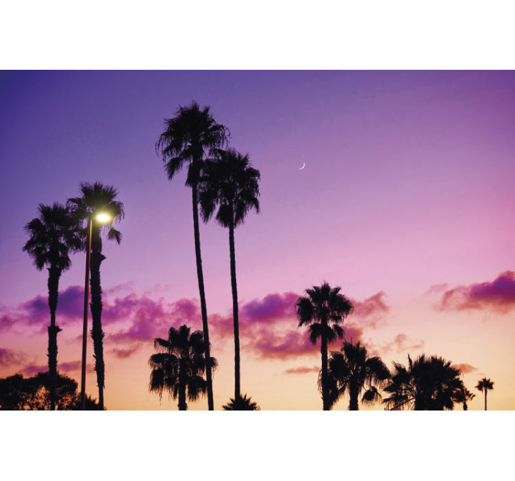 Palm Trees Sunset landscape wall mural - TenStickers